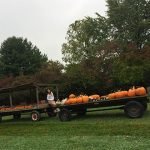 Como morar nos Estados Unidos