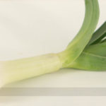 Alho Poró, o Vegetal Mais Admirado desde a Antiguidade