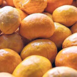 Você conhece o ouro do Cerrado? O Pequi!